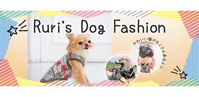 Dog Fashion Shopのヘッダー画像